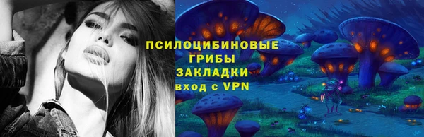 твердый Верея