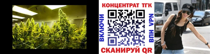 ТГК вейп Вилючинск