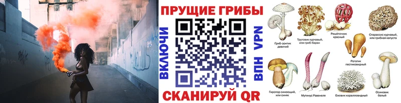 Псилоцибиновые грибы MAGIC MUSHROOMS  Вилючинск 